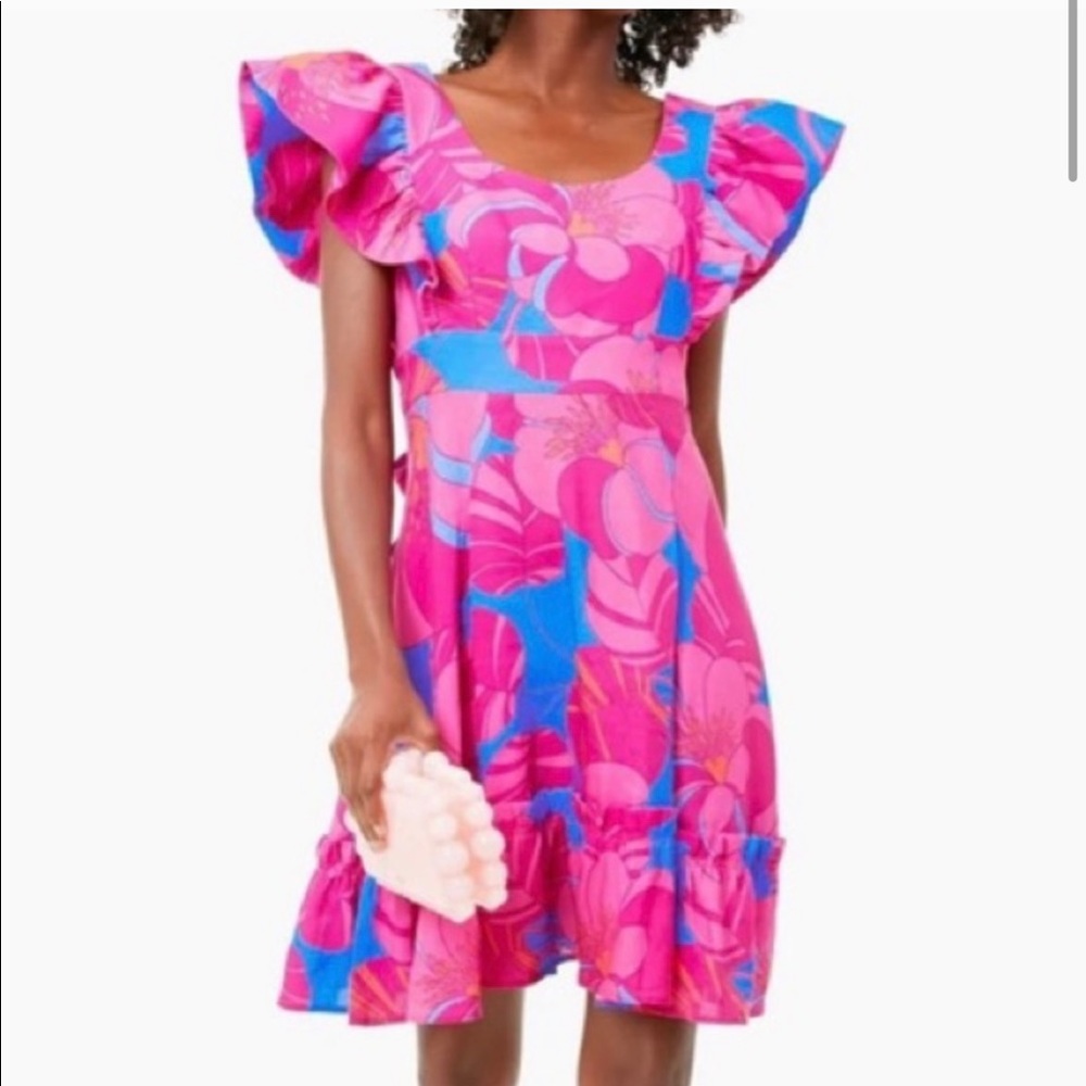 Tuckernuck Dress
